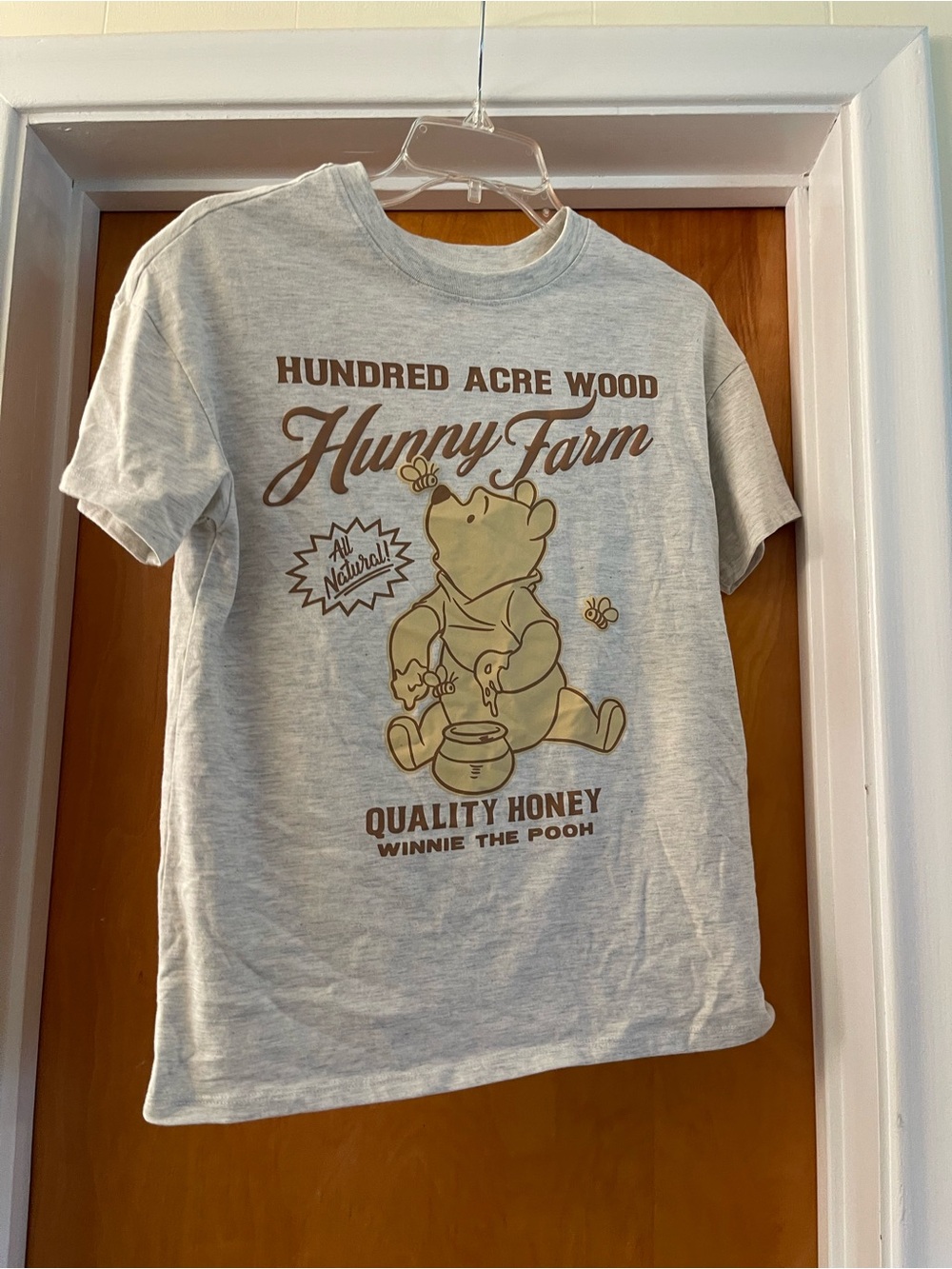 Winnie the Pooh - Hundred Acre Wood Honey - Women's Short Sleeve Graphic T-Shirt